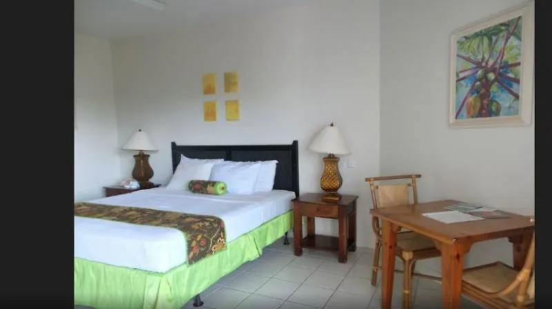 Coyaba Beach Resort St. George's
